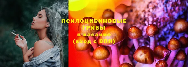 тгк Нефтекумск