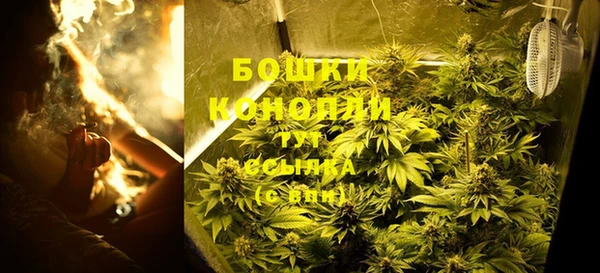 мдпв Снежногорск