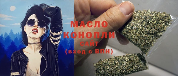 мдпв Снежногорск